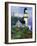 Lighthouse-Bonnie B. Cook-Framed Giclee Print