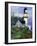 Lighthouse-Bonnie B. Cook-Framed Giclee Print