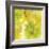 Lightness 1-Irena Orlov-Framed Giclee Print