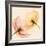 Lightness I-Val Andre-Framed Giclee Print