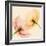 Lightness I-Val Andre-Framed Giclee Print