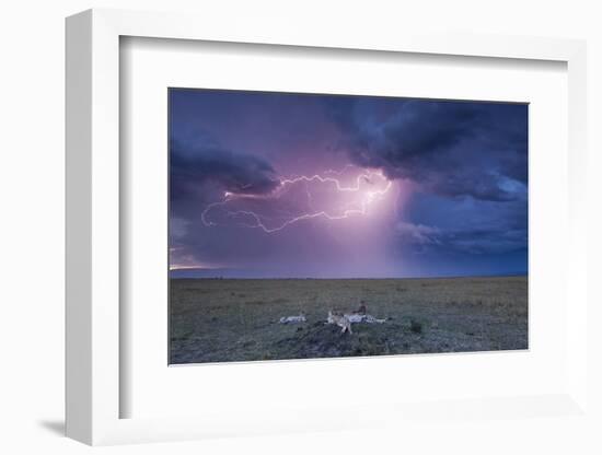 Lightning Above Cheetah with Adolescent Cubs on Termite Mound-null-Framed Photographic Print