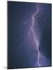 Lightning Bolt-Jim Zuckerman-Mounted Photographic Print