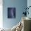 Lightning Bolt-Jim Zuckerman-Photographic Print displayed on a wall