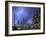 Lightning During Thunderstorm Above Petrochemical Industry in the Antwerp Harbour, Belgium-Philippe Clement-Framed Photographic Print