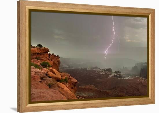 Lightning. Grand View. Canyonlands National Park. Utah, USA.-Tom Norring-Framed Premier Image Canvas