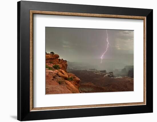 Lightning. Grand View. Canyonlands National Park. Utah, USA.-Tom Norring-Framed Photographic Print