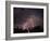 Lightning Over Floodlit Building, Pusztaszer, Hungary-Bence Mate-Framed Photographic Print