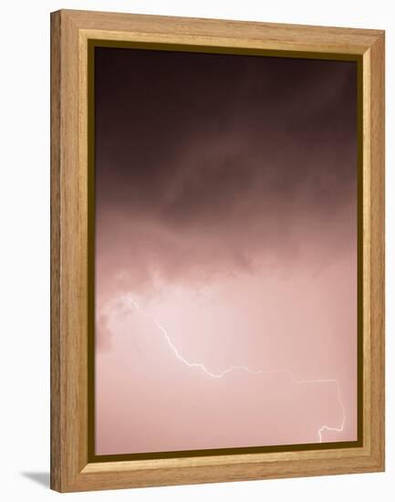 Lightning Pink-Design Fabrikken-Framed Premier Image Canvas