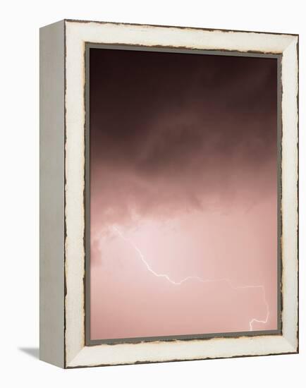 Lightning Pink-Design Fabrikken-Framed Premier Image Canvas