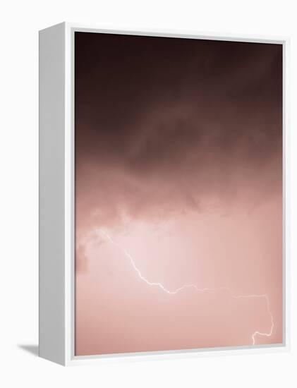 Lightning Pink-Design Fabrikken-Framed Premier Image Canvas