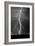 Lightning Portrait BW-Douglas Taylor-Framed Photo