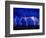 Lightning Storm over Prairie-Aaron Horowitz-Framed Photographic Print