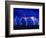 Lightning Storm over Prairie-Aaron Horowitz-Framed Photographic Print