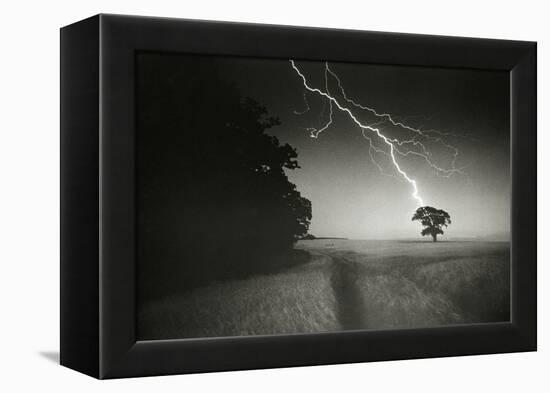 Lightning Striking a Tree-null-Framed Premier Image Canvas