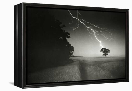 Lightning Striking a Tree-null-Framed Premier Image Canvas