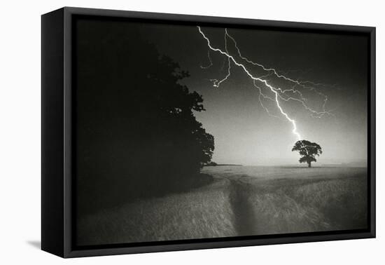 Lightning Striking a Tree-null-Framed Premier Image Canvas