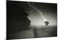 Photographic Print