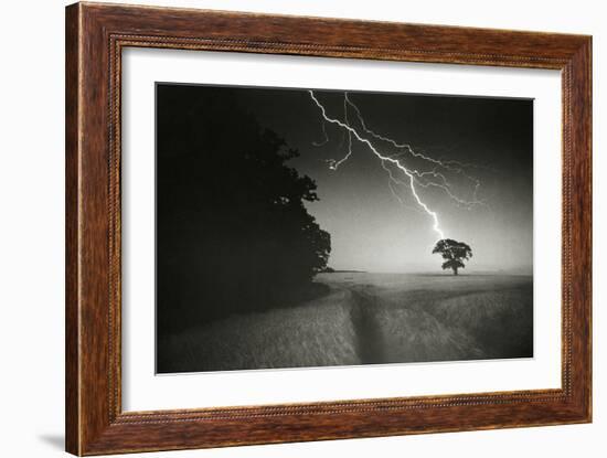 Lightning Striking a Tree-null-Framed Photographic Print