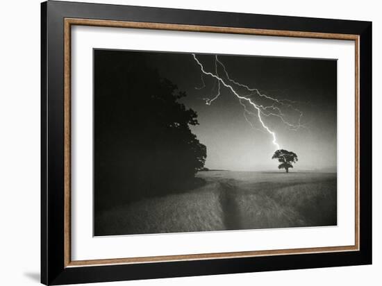 Lightning Striking a Tree-null-Framed Photographic Print