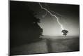 Photographic Print