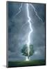 Lightning Striking Tree-null-Mounted Art Print