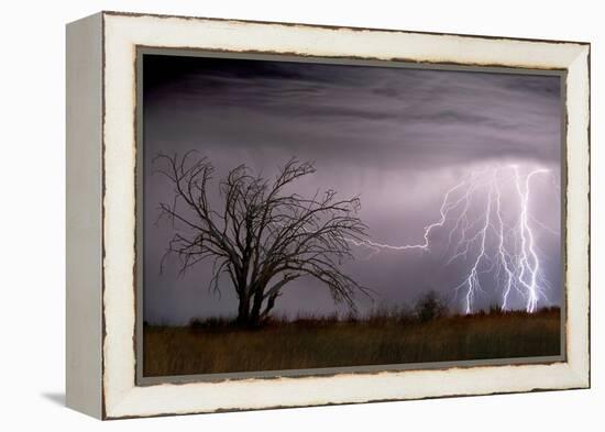 Lightning-Wayne Bradbury-Framed Premier Image Canvas