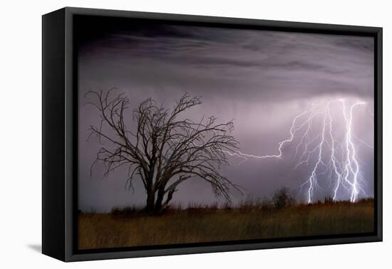 Lightning-Wayne Bradbury-Framed Premier Image Canvas