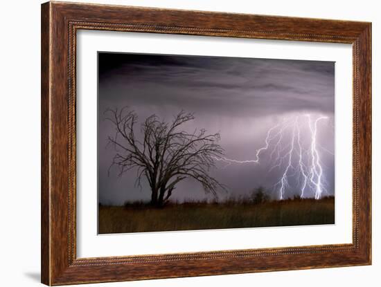 Lightning-Wayne Bradbury-Framed Photographic Print