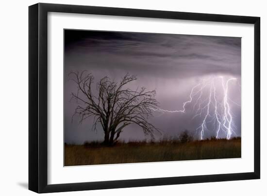 Lightning-Wayne Bradbury-Framed Photographic Print