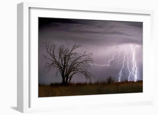 Lightning-Wayne Bradbury-Framed Photographic Print