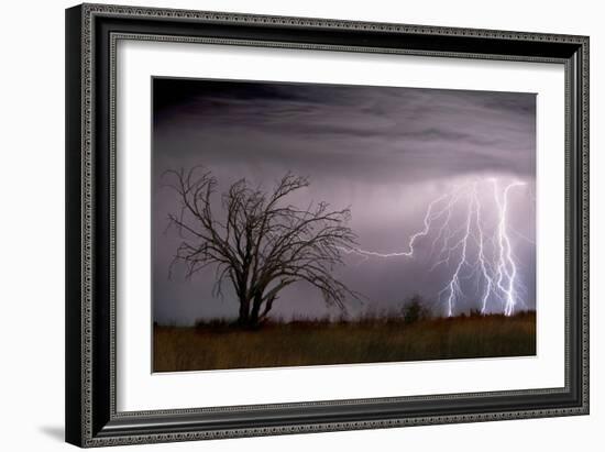 Lightning-Wayne Bradbury-Framed Photographic Print