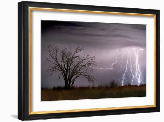 Lightning-Wayne Bradbury-Framed Photographic Print