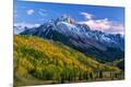 Photographic Print