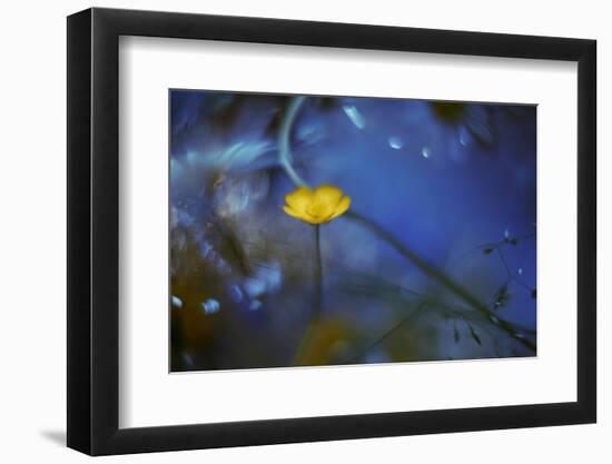 Lights Up in the Dark-Heidi Westum-Framed Photographic Print