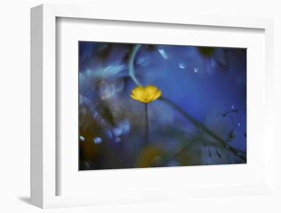 Lights Up in the Dark-Heidi Westum-Framed Photographic Print