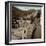 Liguria #5-Alan Blaustein-Framed Photographic Print