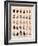 Liguus Tree-Snails-H. A. Pilsbry-Framed Giclee Print
