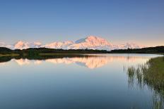 Denali Mountain and Reflection Pond-lijuan-Premier Image Canvas