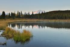 Denali Mountain and Reflection Pond-lijuan-Photographic Print