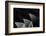 Like a famous three-mast-Mathilde Guillemot-Framed Photographic Print