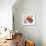 Like a Moth to a Bloom-Lina Alattar-Framed Art Print displayed on a wall
