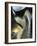 Like and Elephant-Ursula Abresch-Framed Photographic Print