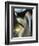 Like and Elephant-Ursula Abresch-Framed Photographic Print