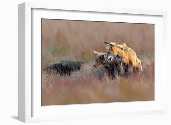 Like Father like Son-Jun Zuo-Framed Giclee Print