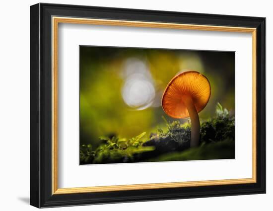 Like Spokes in a Wheel-Ursula Abresch-Framed Photographic Print
