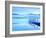 Like the Morning-Craig Roberts-Framed Photographic Print