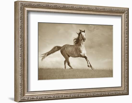 Like the Wind-Lisa Dearing-Framed Photographic Print