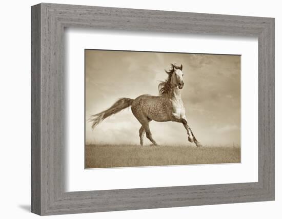 Like the Wind-Lisa Dearing-Framed Photographic Print