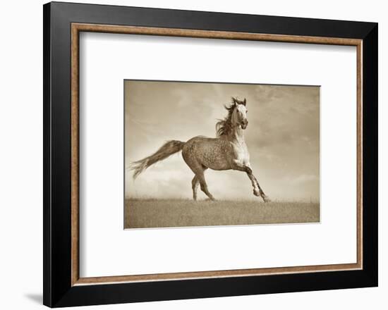 Like the Wind-Lisa Dearing-Framed Photographic Print